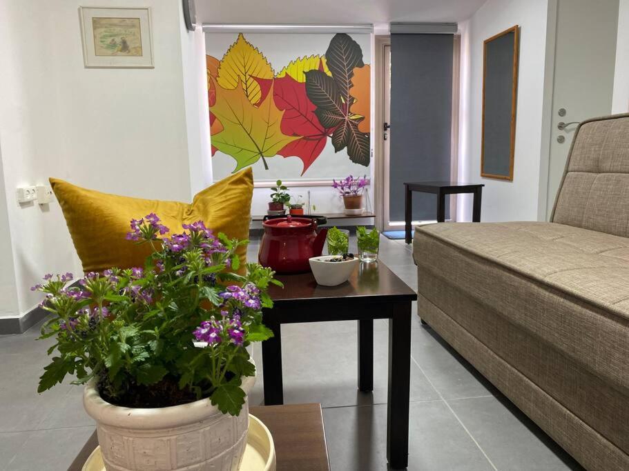 קומותיים ברמה Apartment Sha'al Luaran gambar
