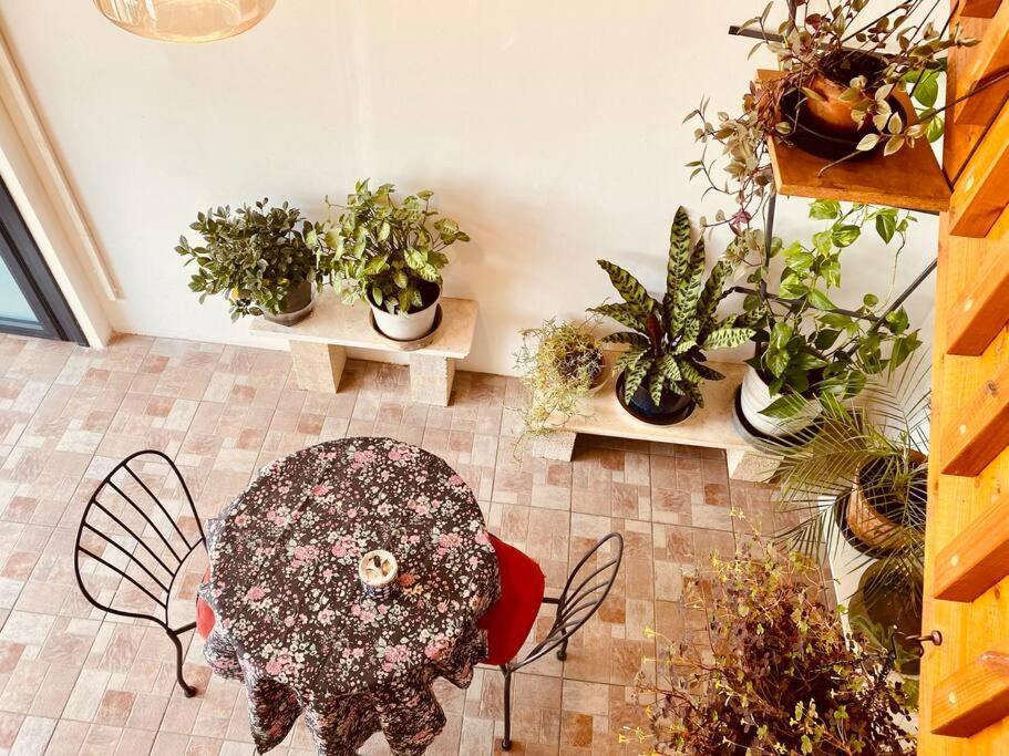 קומותיים ברמה Apartment Sha'al Luaran gambar