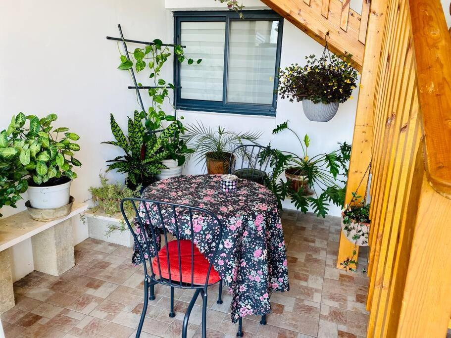 קומותיים ברמה Apartment Sha'al Luaran gambar